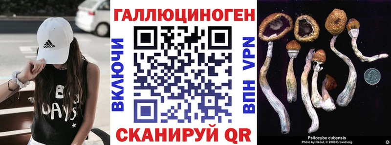 цена наркотик  omg как зайти  Галлюциногенные грибы Psilocybe  Нижневартовск 